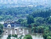 成人永久免费福利视频-成人世界的秘密花园，探索永久免费福利视频的魅力与边界
