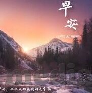果冻视频传媒杜鹃-探索果冻视频传媒与杜鹃的创意融合