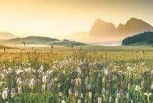 日本高清不卡一区二区三区-探索日本高清影视的魅力，一区、二区、三区的独特风情